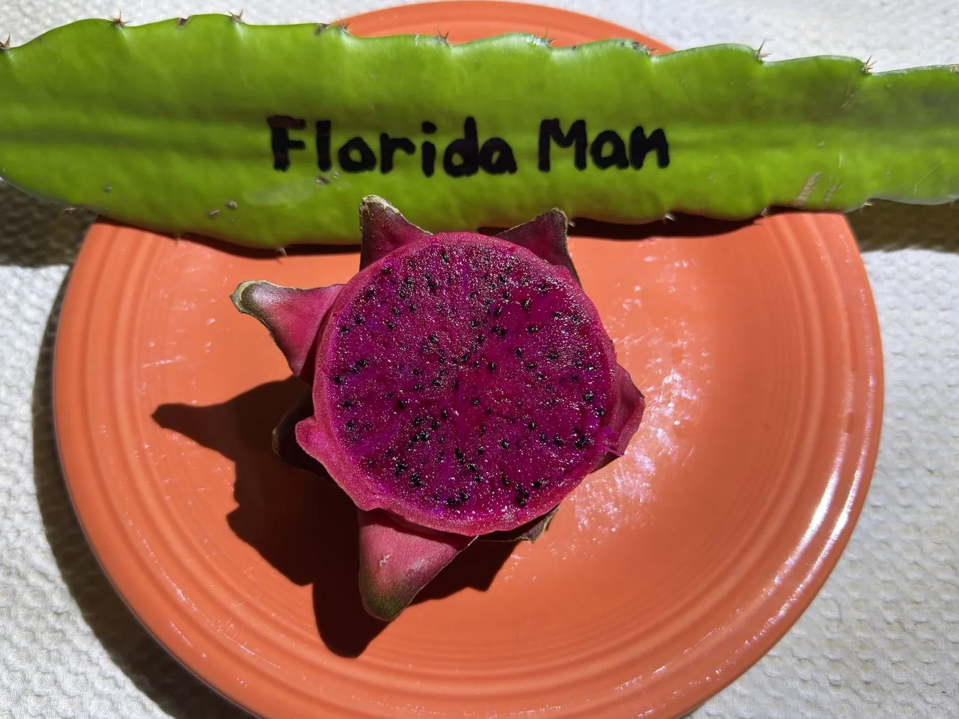 A branch labelled Florida Man in marker, beside a fruit cut open on an orange plate showing deep magenta flesh.