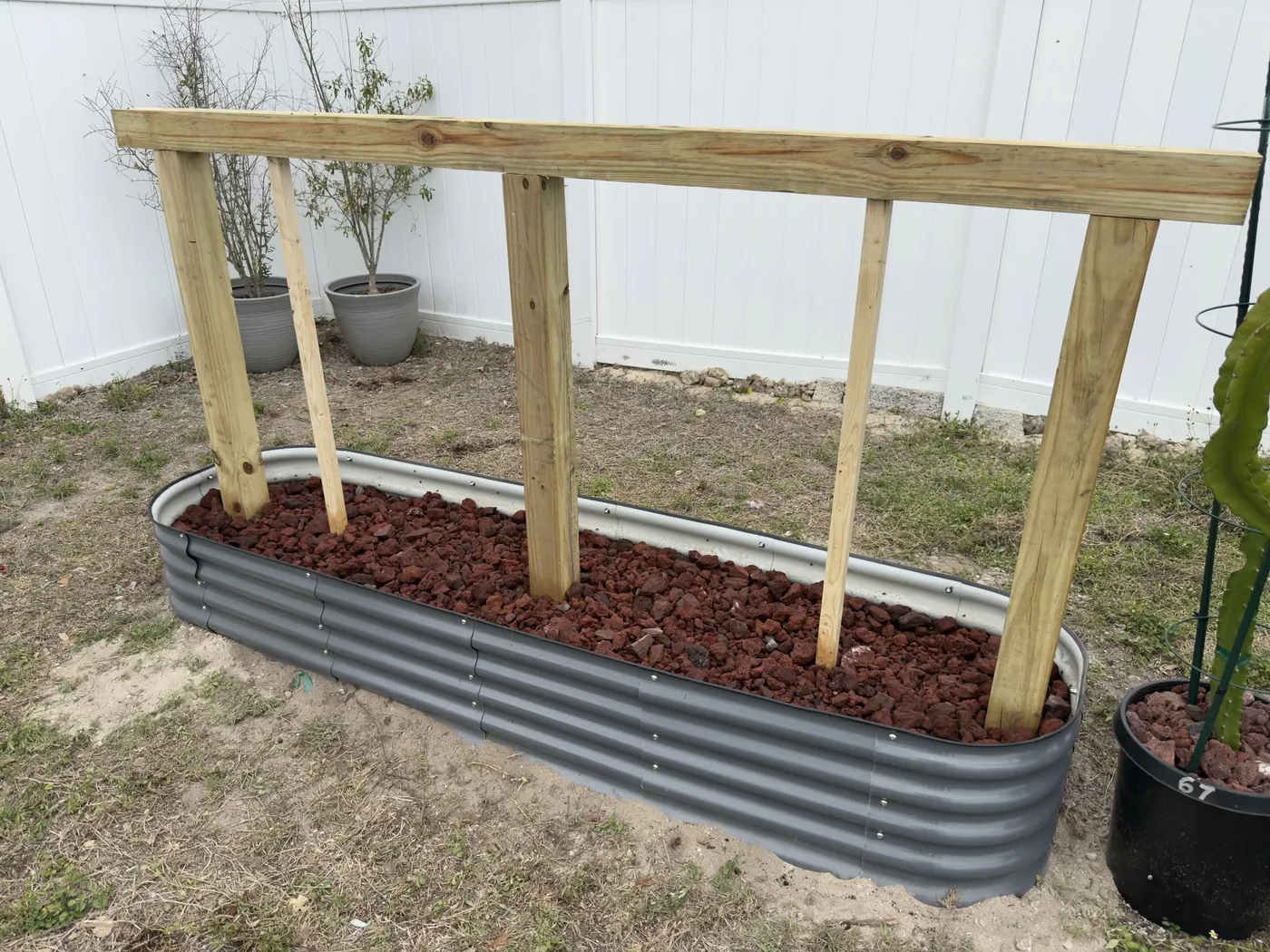 A new galvanised raised bed filled with lava rock, with a timber trellis built over it.