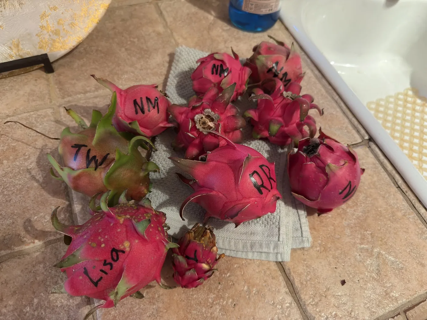 Harvested dragon fruit on a kitchen counter, several of them labelled by hand in marker.