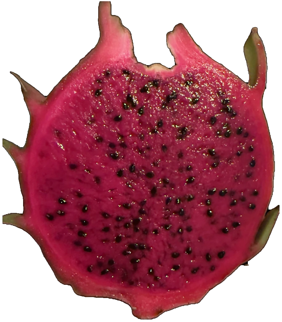 Gator Tail dragon fruit cut in half, showing magenta flesh flecked with fine black seeds.