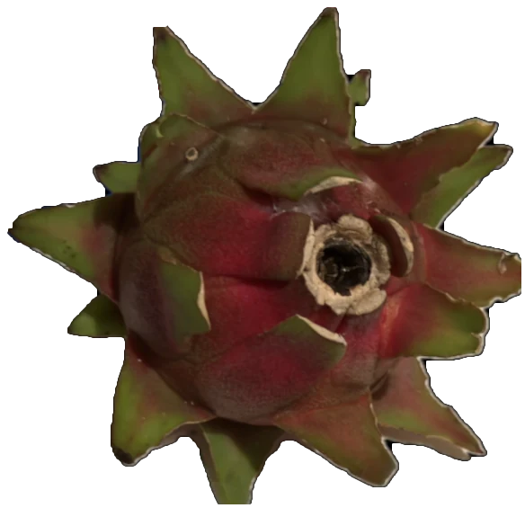 A whole Gator Tail dragon fruit, showing the skin color and the shape of its scales.